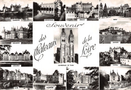 41-PANORAMA DES CHATEAUX DE LA LOIRE-N°2855-C/0127 - Other & Unclassified