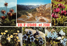 05-COL D IZOARD-N°2855-B/0311 - Andere & Zonder Classificatie