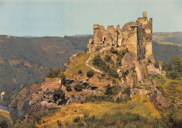 63-GORGES DE LA SIOULE-CHÂTEAU ROCHER-N°2855-B/0195 - Autres & Non Classés