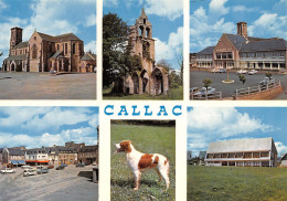 22-CALLAC-N°2855-B/0153 - Callac