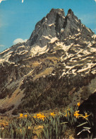 64-PIC DU MIDI D OSSAU-N°2856-C/0017 - Autres & Non Classés