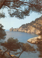 13-CASSIS-N°2856-B/0117 - Cassis