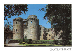 44-CHATEAUBRIANT-N°2857-C/0317 - Châteaubriant