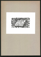 Exlibris Pept Palle, Offenes Buch Mit Schriftzug  - Ex-libris