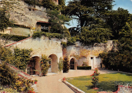 37-LANGEAIS-MAISON TROGLODYTE-N°2857-B/0353 - Langeais