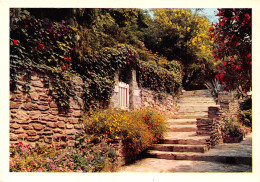 83-BORMES LES MIMOSAS-N°2857-B/0337 - Bormes-les-Mimosas