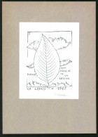 Exlibris Blatt Der Träume, 1967  - Bookplates