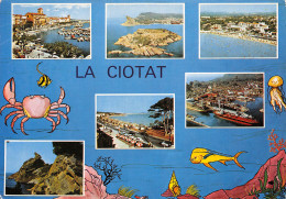 13-LA CIOTAT-N°2858-B/0183 - La Ciotat