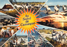 13-PAYSAGE DE CAMARGUE-N°2858-A/0269 - Other & Unclassified