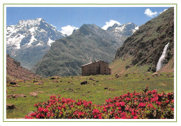 05-PAYSAGE DES HAUTES ALPES-N°2857-D/0391 - Andere & Zonder Classificatie