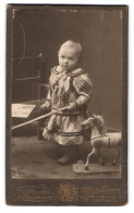 Fotografie J. Fuchs, Dresden, Waisenhaus Strasse 16, Portrait Kleines Mädchen Im Karierten Kleid Mit Spielzeugpferd  - Personnes Anonymes