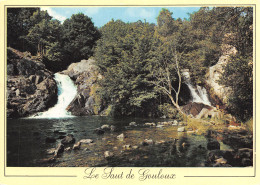 58-LE SAUT DE GOULOUX-N°2859-C/0015 - Sonstige & Ohne Zuordnung