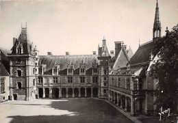 41-BLOIS-LE CHÂTEAU-N°2860-B/0195 - Blois