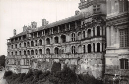 41-BLOIS-LE CHÂTEAU-N°2860-B/0193 - Blois