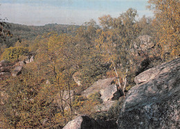 77-FORET DE FONTAINEBLEAU-N°2860-B/0175 - Sonstige & Ohne Zuordnung