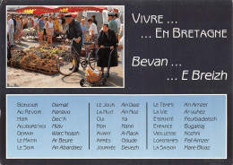 29-FOLKLORE BRETON-N°2860-B/0011 - Autres & Non Classés