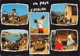 66-FOLKLORE CATALAN-N°2859-D/0365 - Other & Unclassified