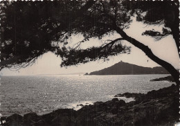 06-PAYSAGE DE LA COTE D AZUR-N°2859-D/0215 - Sonstige & Ohne Zuordnung