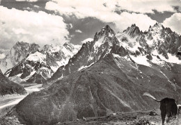 74-CHAMONIX-LA MER DE GLACE-N°2859-D/0157 - Chamonix-Mont-Blanc