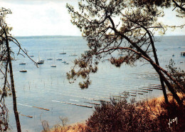 33-BASSIN D ARCACHON-N°2859-D/0081 - Andere & Zonder Classificatie