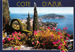 06-CAP FERRAT-N°2860-C/0285 - Sonstige & Ohne Zuordnung