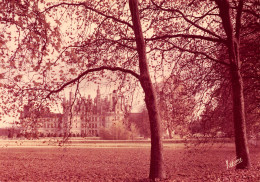 41-CHAMBORD-LE CHÂTEAU-N°2860-B/0309 - Chambord