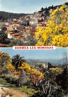 83-BORMES LES MIMOSAS-N°2861-C/0249 - Bormes-les-Mimosas