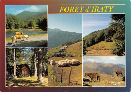 64-FORET D IRATY-N°2862-A/0395 - Other & Unclassified