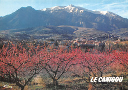 66-PRADES-LE CANIGOU-N°2862-A/0173 - Autres & Non Classés