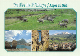 04-VALLEE DE L UBAYE-N°2862-A/0039 - Autres & Non Classés