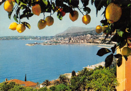 06-MENTON-N°2862-D/0105 - Menton