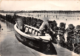 17-SCENE DE CHARENTE MARITIME-LA MYTILICULTURE-N°2862-B/0375 - Autres & Non Classés