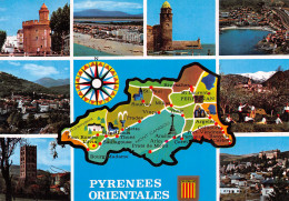 66-PANORAMA DES PYRENEES ORIENTALES-N°2862-B/0363 - Other & Unclassified