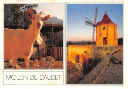 13-FONTVIEILLE-MOULIN DE DAUDET-N°2862-B/0287 - Fontvieille