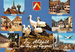 67-PANORAMA D ALSACE-N°2862-B/0243 - Sonstige & Ohne Zuordnung