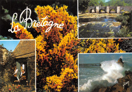 56-PAYSAGE BRETON-N°2862-B/0207 - Other & Unclassified