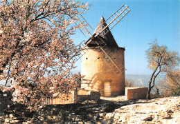 13-PAYSAGE DE PROVENCE-MOULIN A FARINE-N°2863-B/0303 - Other & Unclassified