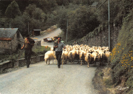 64-PAYSAGE DES PYRENEES-TROUPEAU DE MOUTONS-N°2863-B/0273 - Autres & Non Classés