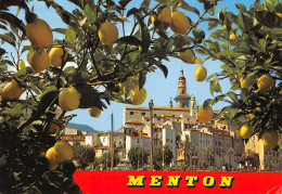 06-MENTON-N°2863-A/0295 - Menton