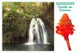 971-LA GUADELOUPE-N°2862-D/0351 - Other & Unclassified