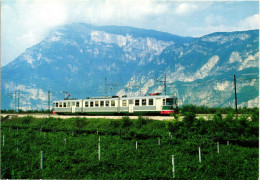 TRENO - Serie Ferrovie A Scartamento Ridotto - Linea Trento Malè - Ediz. M.C.S. - T013 - Trains