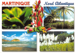 972-LA MARTINIQUE-N°2864-A/0201 - Other & Unclassified