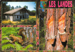 40-PAYSAGE DES LANDES-N°2864-A/0135 - Other & Unclassified