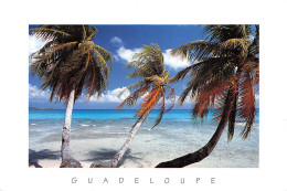 971-LA GUADELOUPE-N°2864-A/0117 - Other & Unclassified
