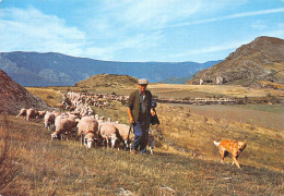 30-PAYSAGE DES CEVENNES-N°2864-A/0111 - Sonstige & Ohne Zuordnung