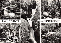 29-FORET DE HUELGOAT-N°2863-D/0283 - Autres & Non Classés