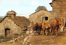 48-PANORAMA DE LOZERE-N°2863-D/0127 - Autres & Non Classés