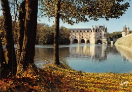 37-CHENONCEAUX LE CHATEAU-N°2863-D/0013 - Chenonceaux