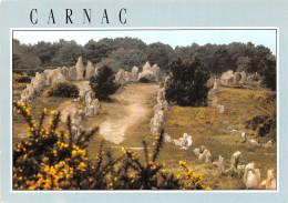 56-CARNAC-N°2864-D/0155 - Carnac