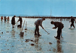 50-SCENE DU COTENTIN-PECHEURS A MAREE BASSE-N°2864-D/0123 - Sonstige & Ohne Zuordnung